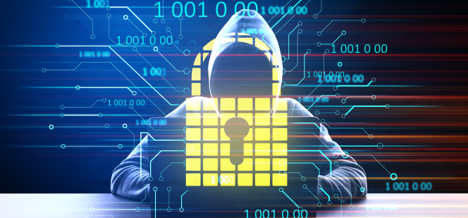 FortiWeb Migration & VAPT Services: Cybersecurity